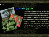 علاج السحر من الكتاب و السنة - سماحة الشيخ عبد العزيز بن باز رحمه الله