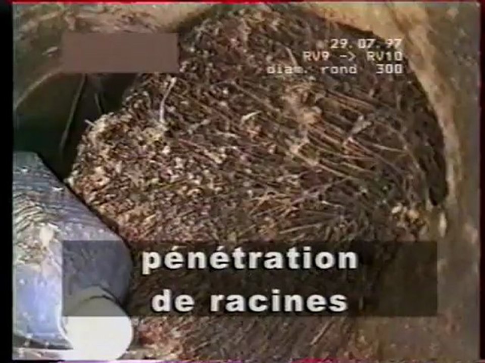 visite d'un réseau d'assainissement