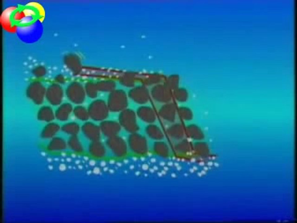 evolution,science ou croyance 6