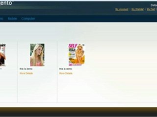 Magento Press Release Extension Installation Guide _ SeashorePartners