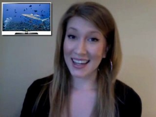 Samsung UN55D6400 Review & Samsung UN55D6400 Low Price