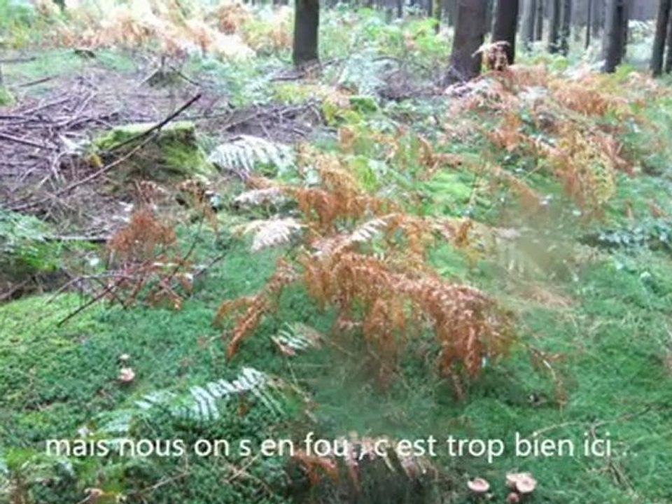 transvignes 2 . le retour ..
