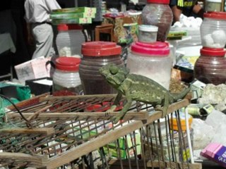 maw3edna_ardak_ya_baladna  BENZARTE WOI TOUNES