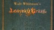 Fiction Book Review: Walt Whitman's Leaves of Grass (150th Anniversary Edition) by Walt Whitman, David S. Reynolds