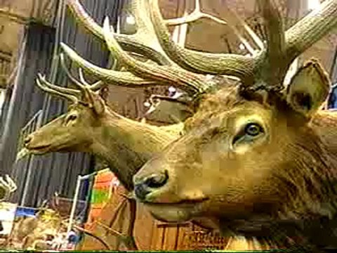 3/6/2005 ABC/WEWS Commercials Part 5