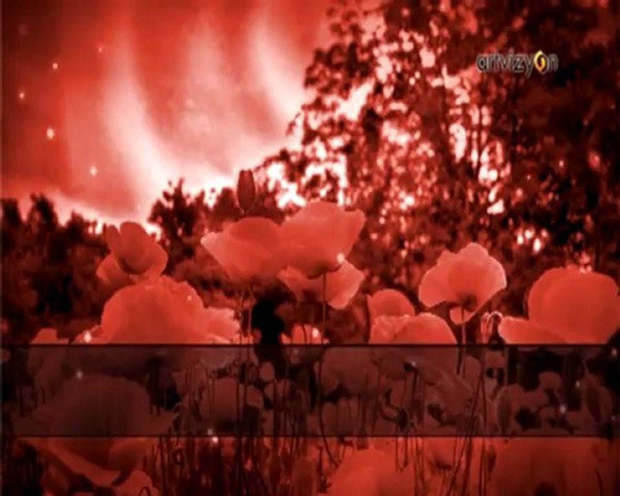 Enstrümantal - Kan Çiçekleri