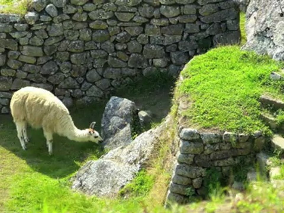 Diaporama Perou - Machu Pichu - Septembre 2012
