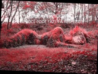 Herbert Souza - "Your planet cries for help" (2012)