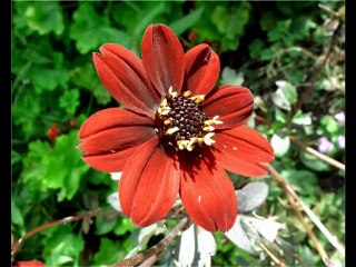 biscarrosse - mimizan VTC hors piste