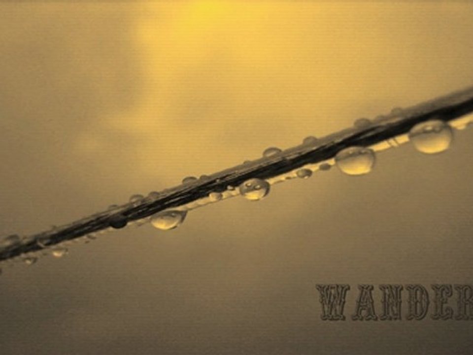 Wanderer