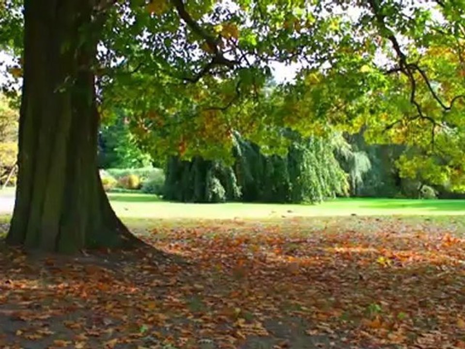 Herbstfarben / the colors of autumn /couleurs d'automne (7 Minuten Auszeit)