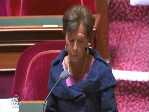 Catherine Procaccia, Sénateur du Val-de-Marne : Refus des taxis de prendre en course un aveugle avec son chien