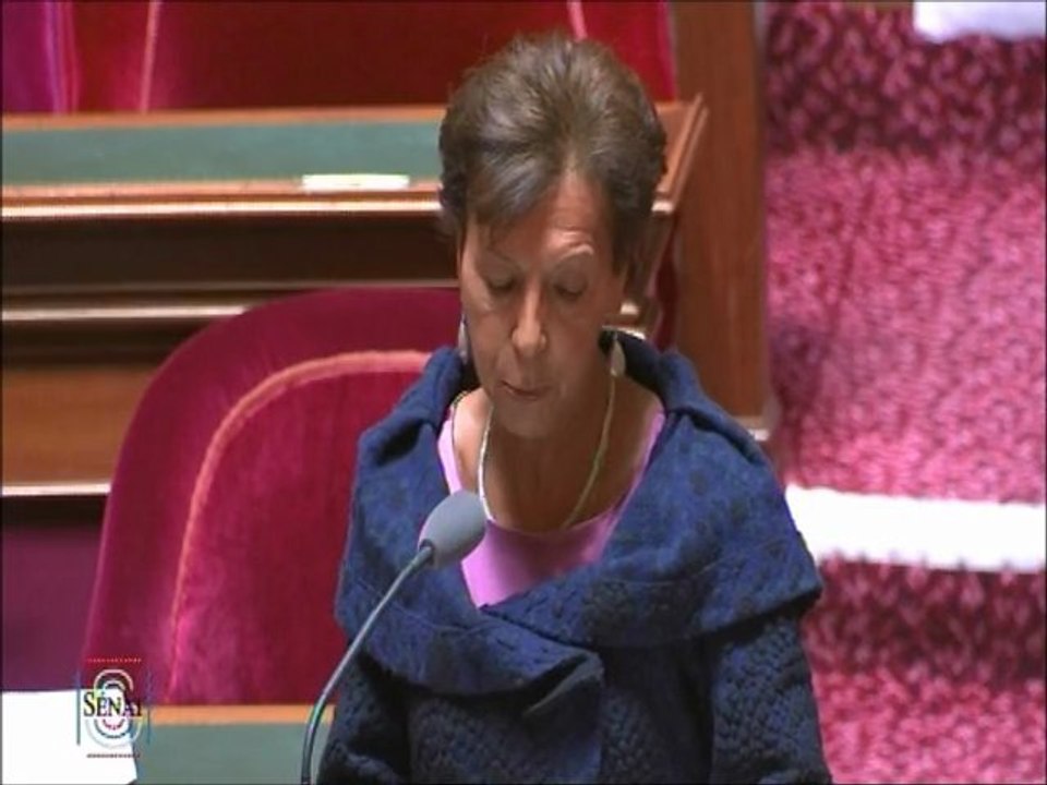 Catherine Procaccia, Sénateur du Val-de-Marne : Refus des taxis de prendre en course un aveugle avec son chien