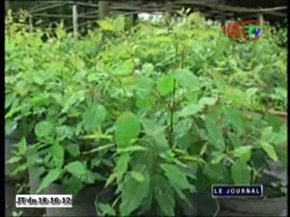 Visite de travail du ministre de la recherche scientifique à Pointe-Noire