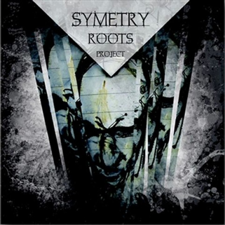 SYMETRY ROOTS PROJECT PART 3