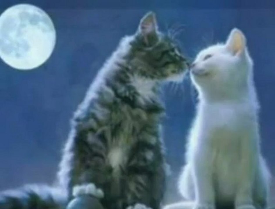 SesliModel.com-DJ Akman - Yaralı Kalbim-SesliModel