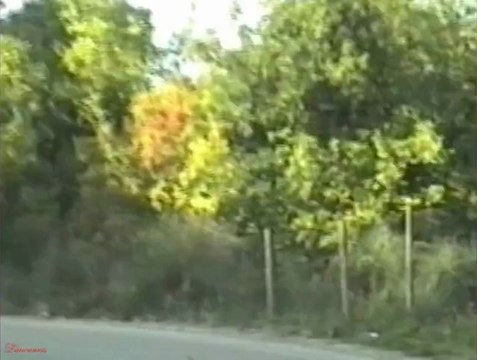 Καλοκαίρι 1998