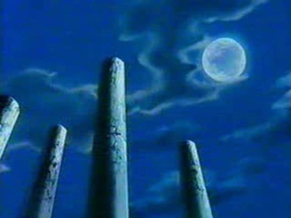 Le poing du dragon_DBZ