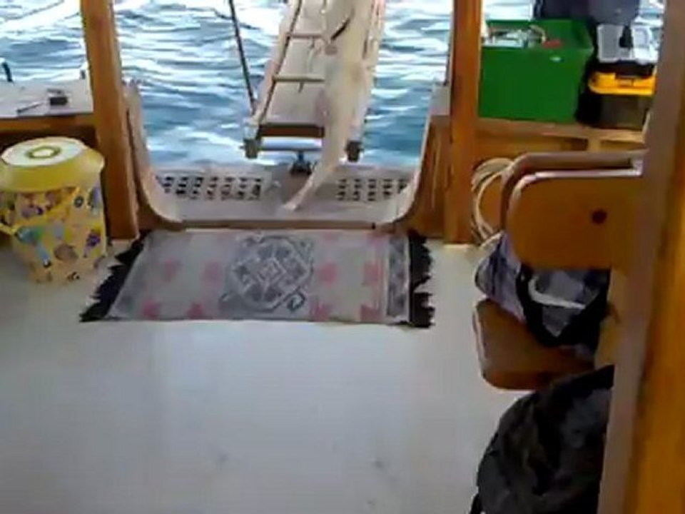 Kuşadası Balık Turu