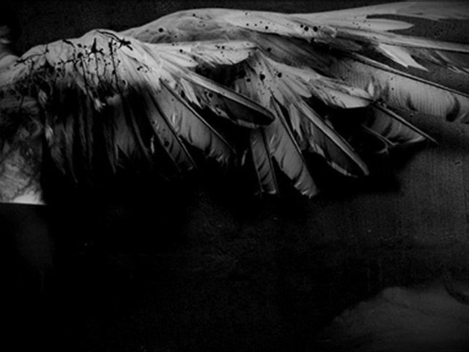 Van Hai - Albatross (with Minski)