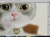 Speed painting Cat Adobe Photoshop CS 4