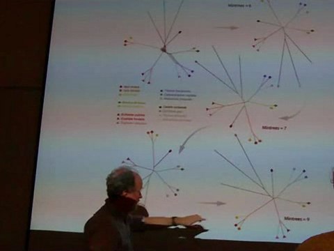 James Whitfield - Validating methods for constructing evolutionary phylogenetic networks with a bank of real biological datasets