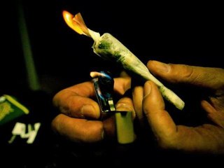 Cannabis : et si on parlait santé ?