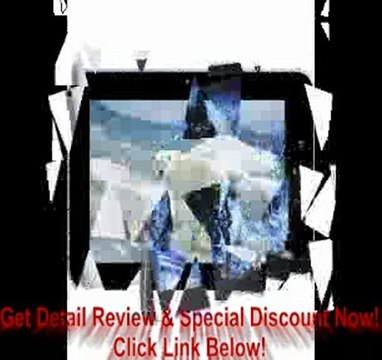 AGPtek® 7 TFT Android 4.0 Capacitive Touch Screen Tablet PC (Wi-Fi A9 1.2Ghz-Dual Core, 512M DDR3, Built-in 4GB Storage,... REVIEW