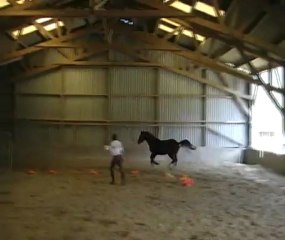 VIDOQ D'IVIN MARS 2012 1ER SAUTS