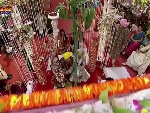 AB 19th Oct Desirippers