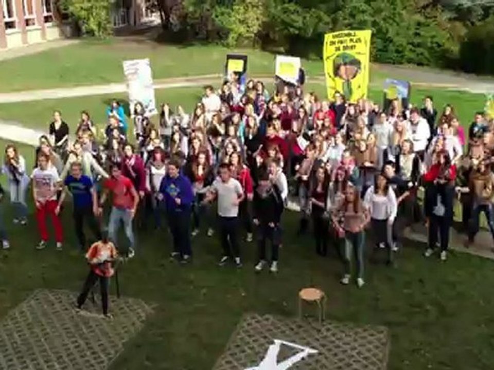 Pas d'accord j'assume - Flash Mob à Loverval