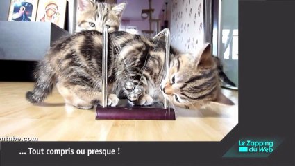 La pire gamelle en parkour de tous les temps !