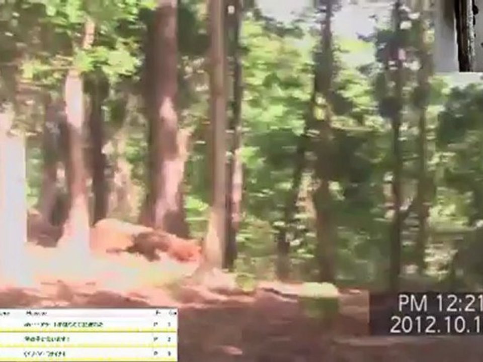 真・動画ぼくの夏終わりに丹沢で6-3枠121012