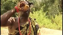 Tiger King 2