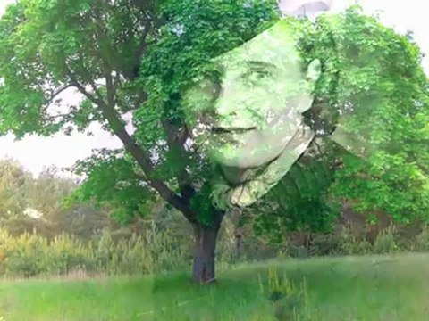 VIOLETTA VILLAS - Do Ciebie Mamo