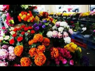 mon pol déjà 4 ans tu est partis