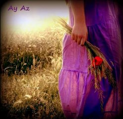 Mohsen Namjoo & Raaz \  Zolf Bar Baad