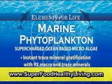 Marine Phytoplankton Is A Medicinal Powerhouse Created By Mother Nature (Organic Super Foods)