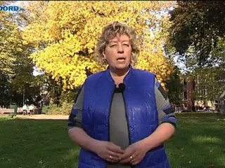 Het Weer [19-10-2012] - RTV Noord