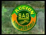 Programa Acción Agropecuaria de la Secretaría de Agricultura y Ganadería - SAG, Canal 8 TNH. 8 de octubre del 2012.