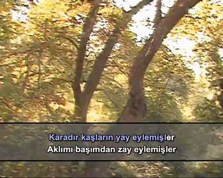 Enstrümantal - Karadır Kaşların (Karaoke)