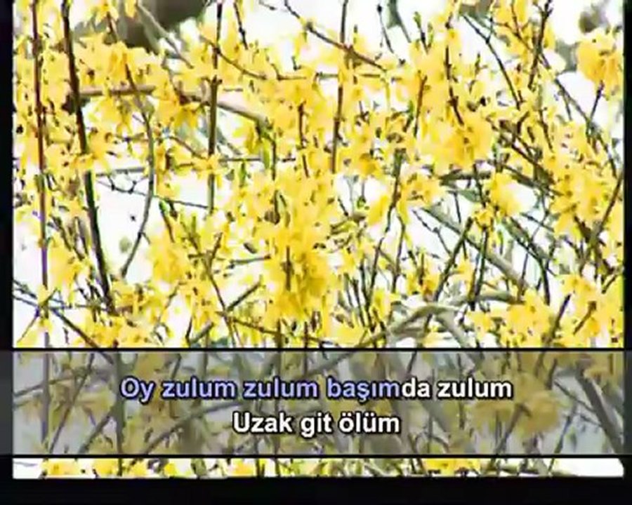 Enstrümantal - Mahpusun İçinde Üç Ağaç İncir (Karaoke)