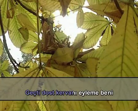 Enstrümantal - Geçti Dost Kervanı