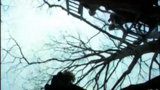 Night of Dark Shadows- 1971 Trailer