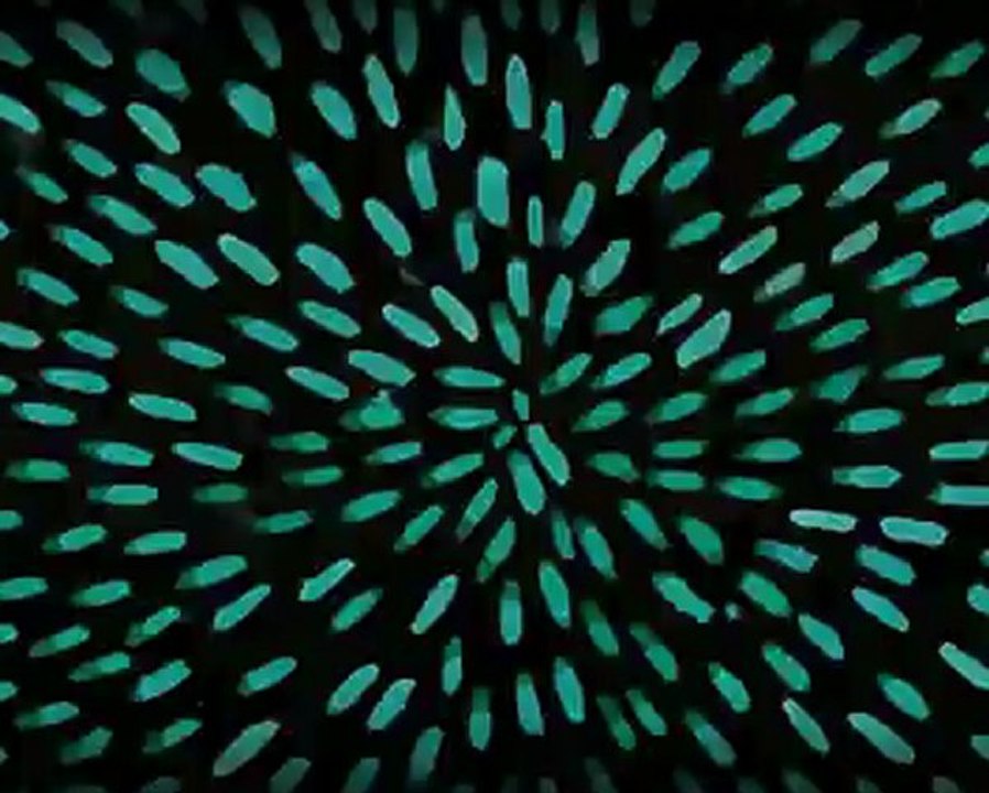 14 - Empty - Marine Duchet