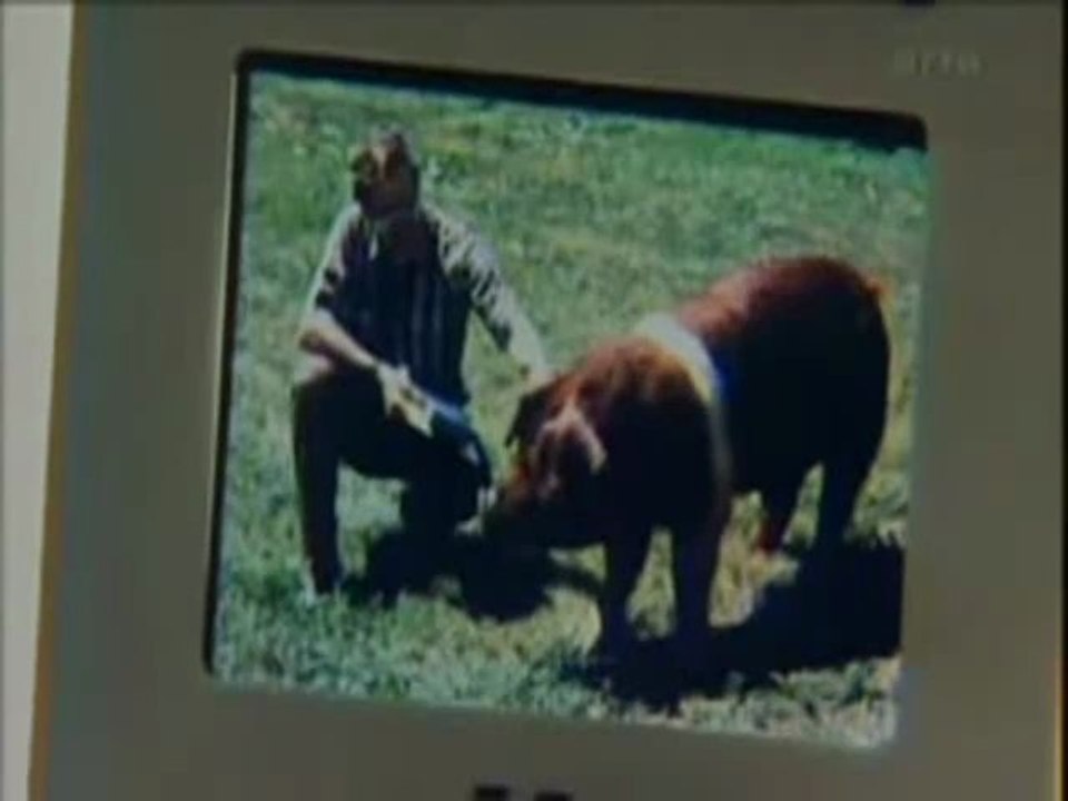 OGM - Les monstrueux animaux de la génétique