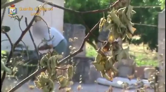 Lecce - Scoperto falso cieco (20.10.12)