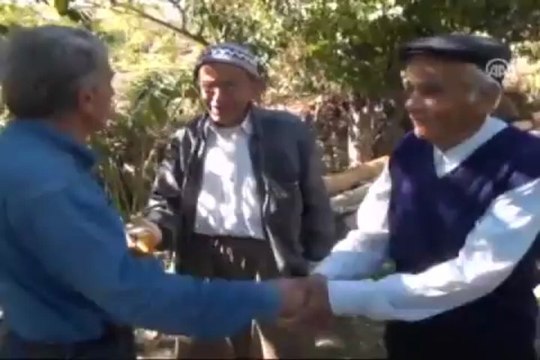 90 yaşında ağaca tırmanıyor