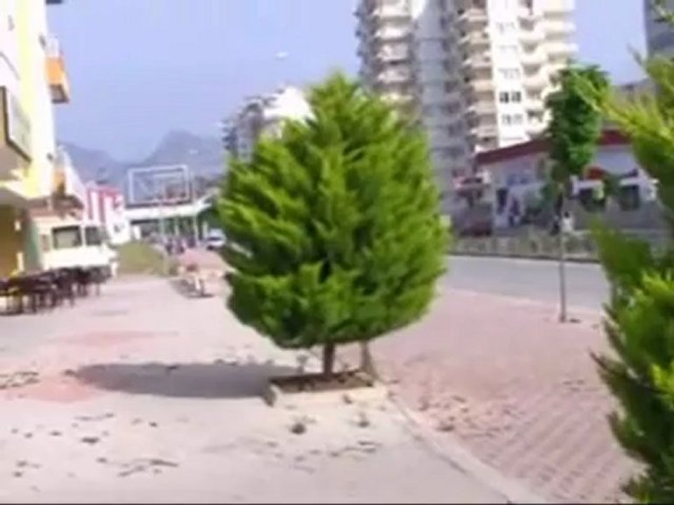 Antalya Living - Walking the Dog : Turkish Style