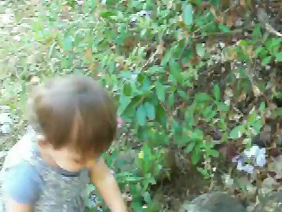 je cueille les fleurs du jardin